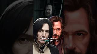 Did you know why severus snape hates sirius black harrypotter fantasy shorts [upl. by Kealey]