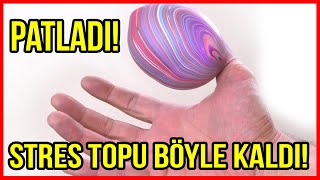 STRES TOPU KESTİM İÇİNE BAKARKEN PATLADI Dobişko Tv [upl. by Corella]