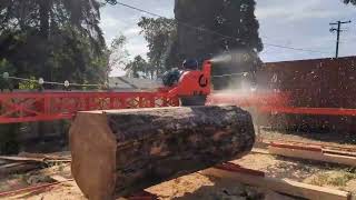 Electric 128 Sawmill Cutting Ponderosa Pine [upl. by Etteb787]