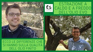 Come riconoscere un vero olio extravergine di massima qualità attento alletichetta [upl. by Bartel]