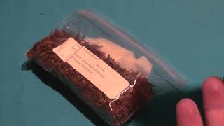 How to Rehydrate Dried Out Tobacco [upl. by Jehial]