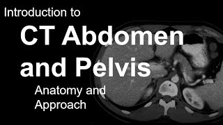 Introduction to CT Abdomen and Pelvis Anatomy and Approach [upl. by Rooker]