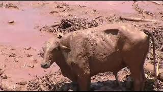 2019 Brumadinho Dam Disaster  Drone Flight [upl. by Cirderf]