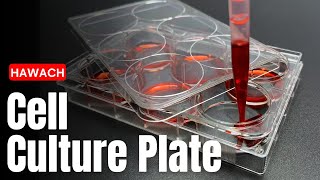 HAWACH Cell Culture Plate [upl. by Garzon]