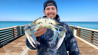 Eating Whatever I Catch BIG Blue Crabs from the Pier Catch and Cook [upl. by Egreog]