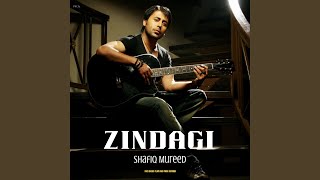 Zindagi [upl. by Adigirb]