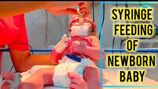 Syringe Feeding Newborn Baby  Syringe Feeding Procedure  Syringe Feeding Kaise karte hain  NICU [upl. by Romo760]