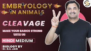 Cleavage Embryology in Animals  Hindi Medium neet [upl. by Salinas]