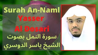 Surah Naml Yasser Al Dosari Arabic and English Translation [upl. by Vinia963]