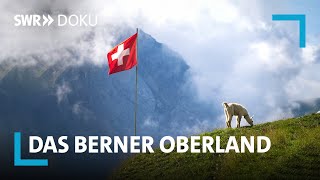 Das Berner Oberland – Ein Sommer in den Schweizer Alpen  SWR Doku [upl. by Garda]