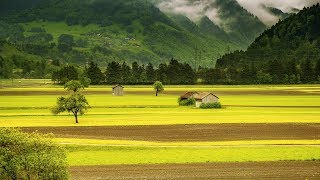 Beautiful Village Life amp Landscapes Stock Footages  Free HD Video  no copyright [upl. by Aettam287]