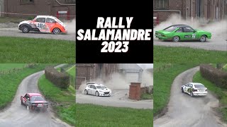 Rallye Salamandre 2023  Mistakes [upl. by Yetac]