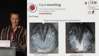 Garlonn Le Floch  équimeeting maréchalerie 2019  Entorse des ligaments collatéraux [upl. by Rednaskela700]