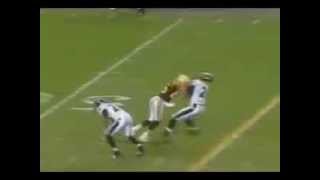 Hines Ward Levels Ed Reed [upl. by Lettig862]