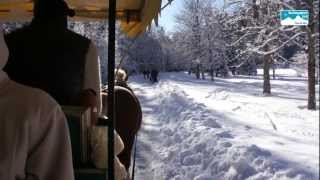 Winterwandern Bayern Deutschand Pferdeschlittenfahrt zur Wildfütterung im Nationalpark Berchtsgaden [upl. by Erehc]