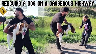 I RESCUED A PUPPY OFF A DANGEROUS HIGHWAY amp RETURNED IT TO ITS OWNER HER REACTION [upl. by Yaned]