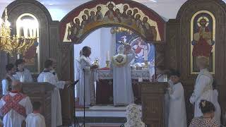 St Athanasius ACOC Live Stream [upl. by Gnilyam]