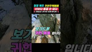 청정계곡 숲속 전원주택 별장 주택 매매 매물 [upl. by Bock]