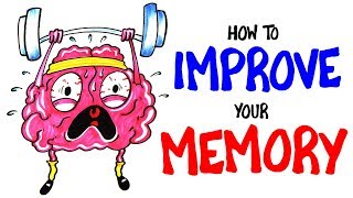 How To Improve Your Memory RIGHT NOW [upl. by Rella]