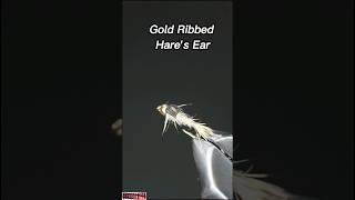 How to tie the Gold Ribbed Hares Ear Fly pattern  Fly tying tutorial nymphs flytyingforbeginners [upl. by Melise392]