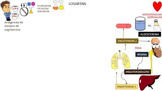 Farmacologia LOSARTAN [upl. by Enaitsirhc]