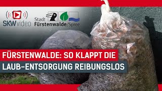 Fürstenwalde So klappt die Laubentsorgung reibungslos [upl. by Tallia237]