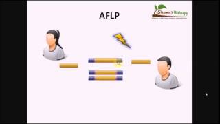 أساسيات الهندسة الوراثية تكنيك الـ AFLP [upl. by Ater965]