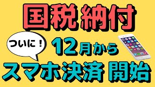 【開始】決済手数料無料！ポイントが付く国税納付で一番お得なスマホアプリとは？ [upl. by Karlene564]