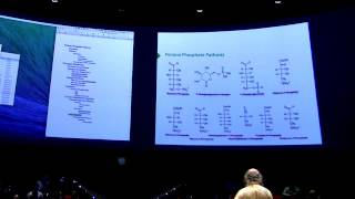 Pentose PhosphateGlycogen I  Kevin Aherns BB 450 Lecture 26 2016 [upl. by Atnoek]