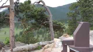 interesting wind blown trees in Rocky Mountain National Park [upl. by Ermina]