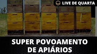 SUPER POVOAMENTO DE APIÁRIO LIVE DE QUARTA [upl. by Maurits]