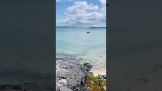 THALASSOPHILE amp VITAMIN D porthminster beach Stives cornwall uk shorts viralvideo ytshorts [upl. by Roon]