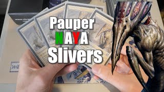 Pauper Naya Slivers Deck Tech Tutorial  Powerful and Fun [upl. by Pogah]