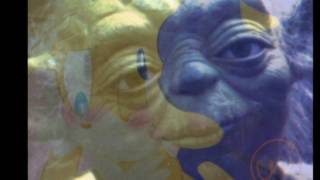 quotSonic Theory Is Tails a Homosexualquot as read by Yoda [upl. by Ardyth]