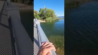 Sept 2024 Otter Tail Lake water level [upl. by Draner]