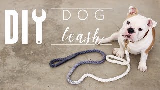 DIY Dog Leash [upl. by Klenk]