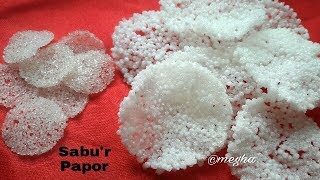 এখন বাড়িতেই বানান সাবুর পাপড়  HOW TO MAKE SABUDANA PAPAD AT HOME [upl. by Knepper251]