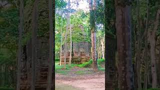 ប្រាសាទយាយព័ន្ធ Yeay Poan Temple nature monkeysseenthroughoureyes carpentry 10september [upl. by Esther]