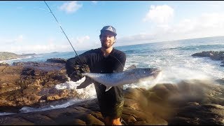 Land based Spanish Mackeral fishing Sunshine coast amp Noosa River GT [upl. by Deanna]