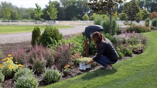 Planting 3 Varieties of Sedum Tough Low Maintenance HeatLoving Plants 🙌☀️😍  Garden Answer [upl. by Gustie]