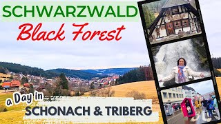 BLACK FOREST Adventure GERMANY 4K  Worlds Largest Cuckoo Clock  Waterfalls  Karneval Parade [upl. by Namia]