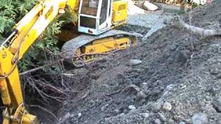 VIDEO  2 Hecke ausgraben Teil 2  Hedge digging Part 2 [upl. by Ojela]