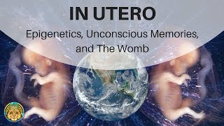 IN UTERO Epigenetics Unconscious Memories and The Womb  Stephen Gyllenhaal  ATTMind 74 [upl. by Ayotal]