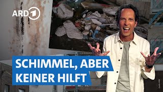 Mieten und Bauen Herausforderungen auf dem Wohnungsmarkt  Die Tricks… NDR amp SWR [upl. by Isidore]