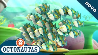 Octonautas  O Humuhumunukunukuapuaa  Episódio inteiro 49  Primeira Temporada [upl. by Htebzil]