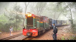 Pleasing Arrival of Matheran Train in Beautiful Foggy Monsoon Weather [upl. by Yanffit]