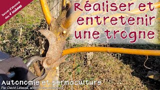 Comment faire et entretenir une trogne  Autonomie et permaculture avec David [upl. by Stacey]