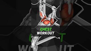 Ultimate Chest Building Workout Master the Incline and Fly 🔥 [upl. by Ermentrude]