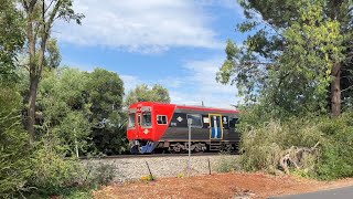 Electric and Diesel Suburban Trains around Adelaide  Gawler Seaford Outer Harbour amp Belair Lines [upl. by Naitsirc768]