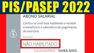 PISPASEP 2022 NÃO HABILITADO O QUE FAZER PARA RECEBER O ABONO SALARIAL 2022 COMO CONSULTAR O PIS [upl. by Cahra955]